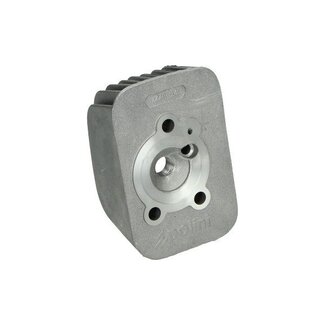 cilinderkop bromfiets vespa 46mm polini 211.0227