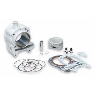cilinder 4-kleps gt200/gts/gtv/run125-4t/run180-4t/run200 74mm malossi 3113955