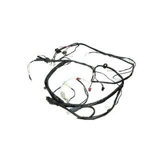Piaggio kabelboom 2t euro-2 zip va2009 piag orig cm073101