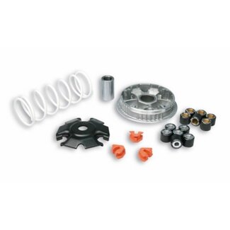 Malossi variokit euro-3/4/5 vanaf 2012 fly125/lx125/prim150/sprint150 malossi 5115639