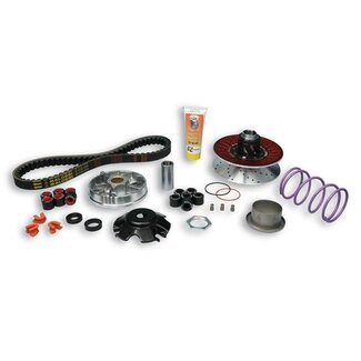 Malossi overrange systeem aluminium fly2t/lx2t/zip2000/zip2000sp malossi mhr 6115780