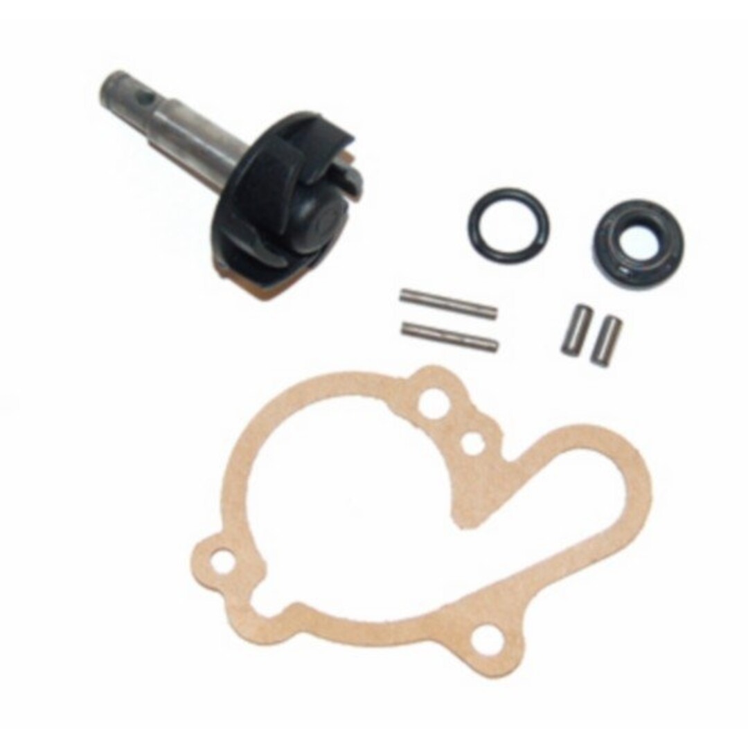 revisieset waterpomp + schoep minarelli am6