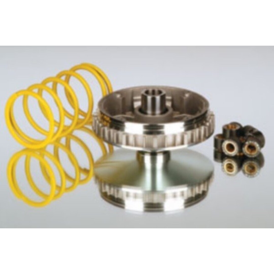 Malossi variokit leo250/300/mad250/x-max250 250cc malossi 5111225