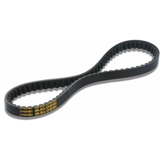 Malossi v-snaar dink/sca malossi 6116215