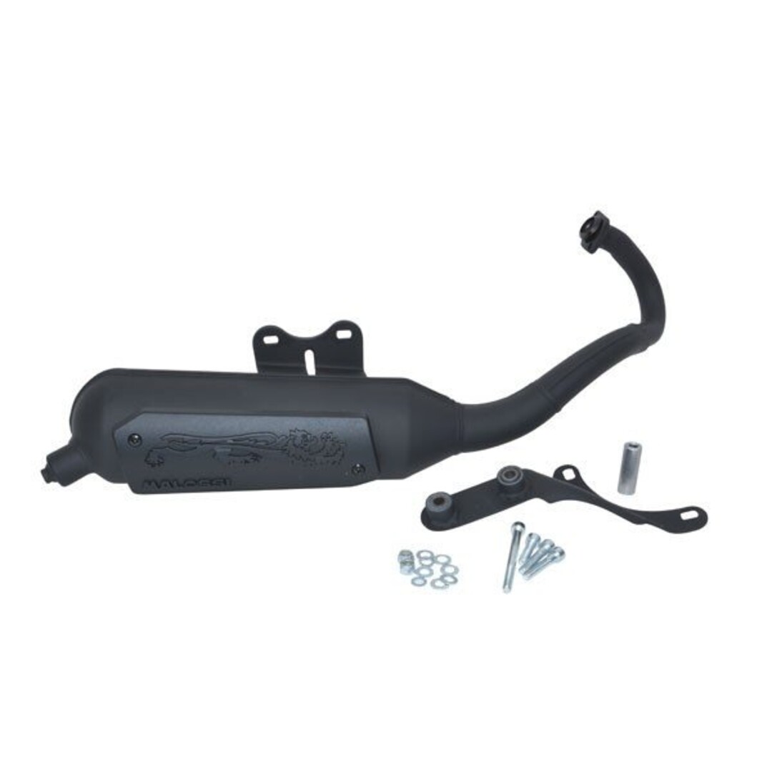 Malossi uitlaat cpl mod. std wild lion sr piaggio blok malossi 3216582