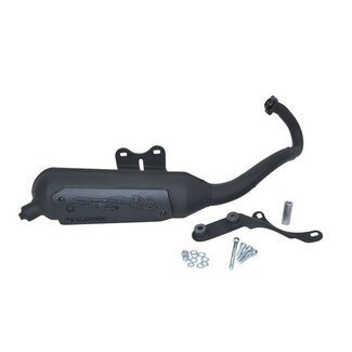 Malossi uitlaat cpl mod. std wild lion sr piaggio blok malossi 3216582