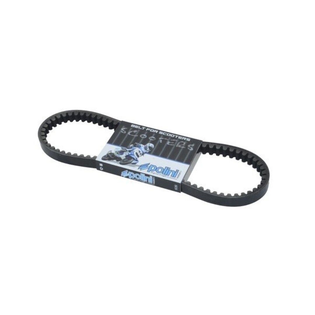 v-snaar minarelli hor+vert polini 248.003