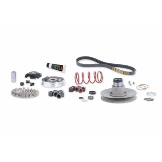 Malossi overrange systeem minarelli hor+vert malossi 6112811