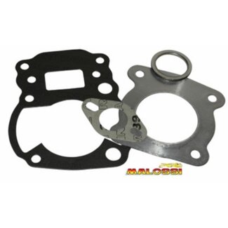 Malossi pakking topset tsx 47mm malossi 114899