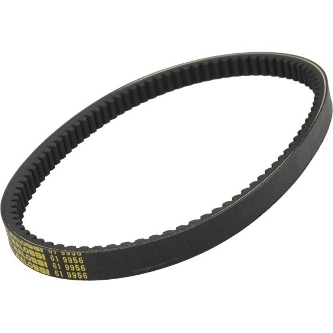 Malossi v-snaar burgman200/burgman250 malossi 619956