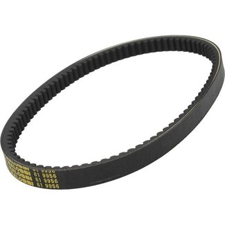 Malossi v-snaar burgman200/burgman250 malossi 619956