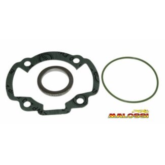 Malossi pakking topset bux/dj/viva 47mm malossi 117394