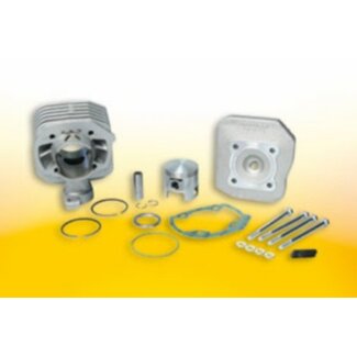 Malossi cil+kop replica lud/spf3ac/viva>08-2t 47mm-p12 malossi mhr 3112901