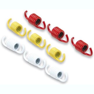 Malossi kopp.trekveerset viva 100cc malossi 2911325 9-delig