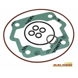 Derbi pakking topset senda 39.88mm malossi 1112195