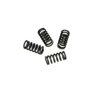 Malossi kopp.drukveerset minarelli am6 malossi 2912235 4pcs