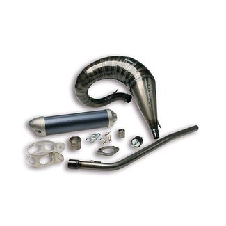 Malossi uitlaat cpl sen/sen2006 blank/alu malossi mhr 3211982