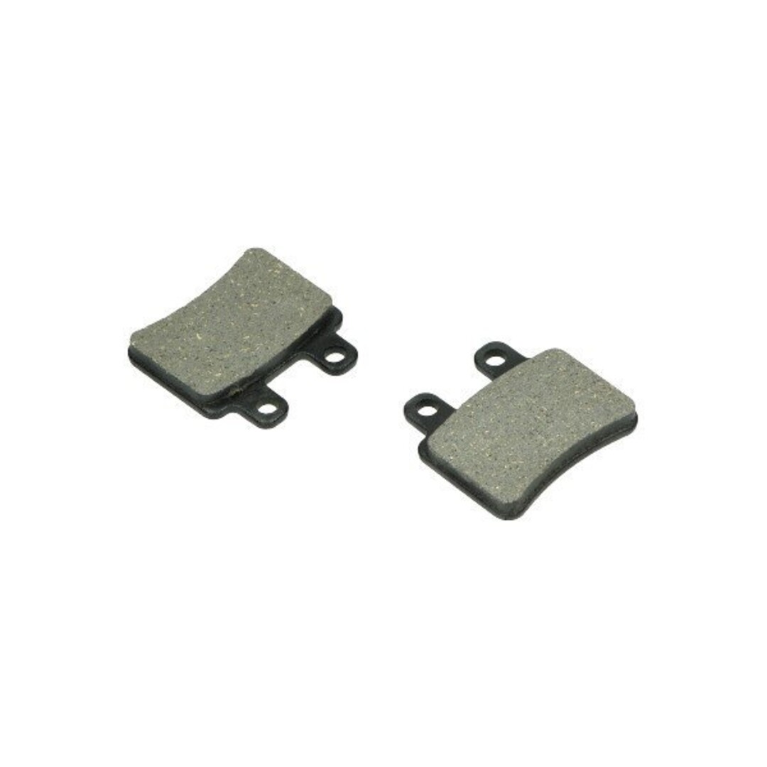 remblokset drak/dt50r/rieju/ryz pro sm/sen/xsm/xtm achter polini 174.0048