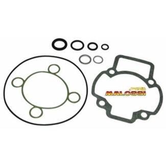 Malossi pakking topset mc3 pure/run pure 47mm malossi 1112089