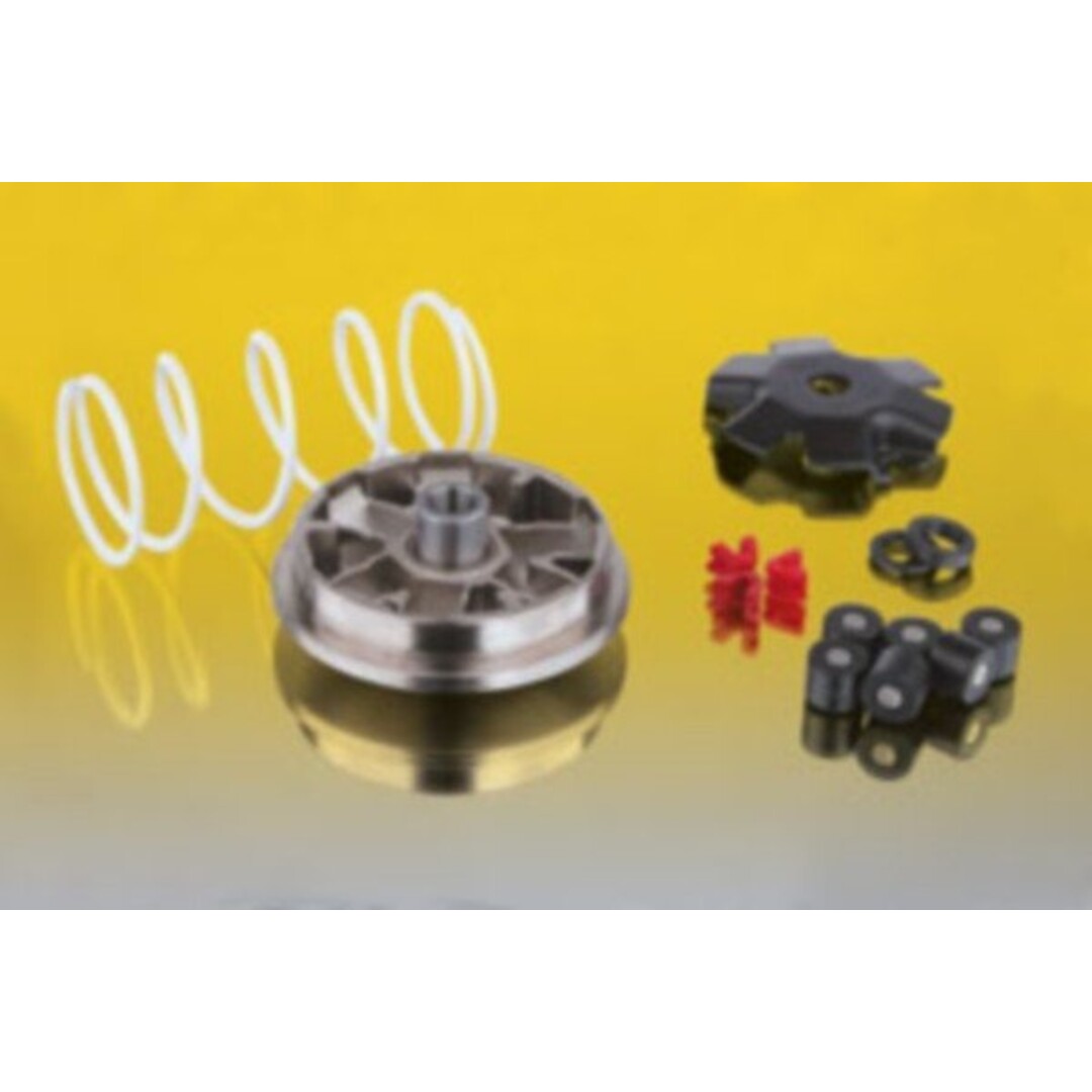 Malossi variokit sco piaggio 2t 16x13mm malossi mhr 518648