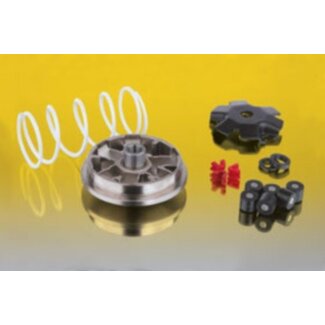 Malossi variokit sco piaggio 2t 16x13mm malossi mhr 518648