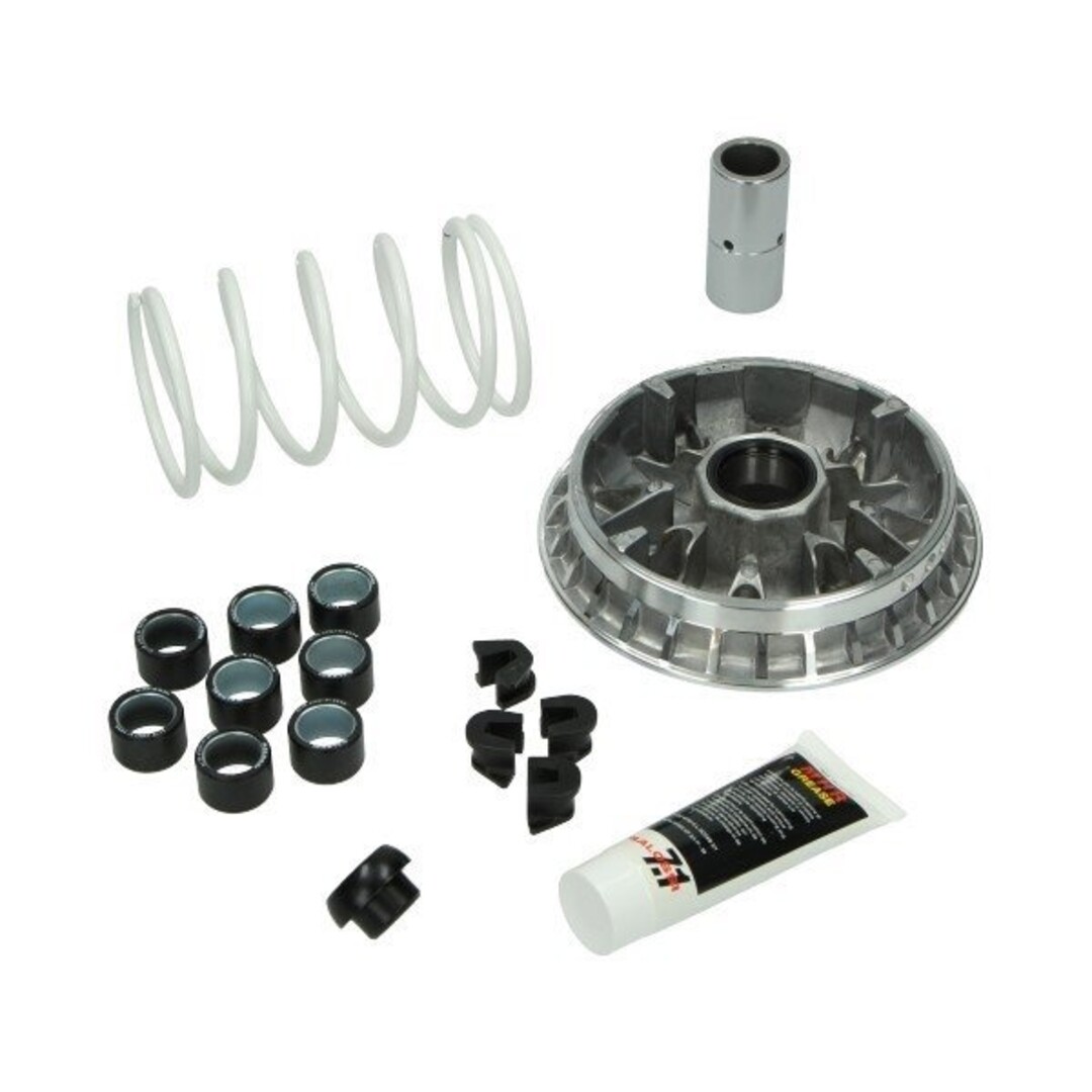 Malossi variokit incl. 8-rollen atlantic/bev400/bev500/fuoco/geo/mp3 500cc/mp3-400/nex500/sat400/spid500/x10/x8/x9-500 malossi 5114260