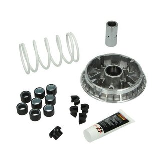 variokit incl. 8-rollen atlantic/bev400/bev500/fuoco/geo/mp3 500cc/mp3-400/nex500/sat400/spid500/x10/x8/x9-500 malossi 5114260