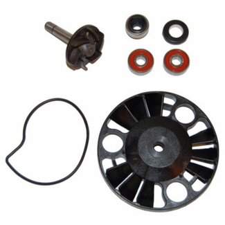 revisieset waterpomp run180-4t/run200