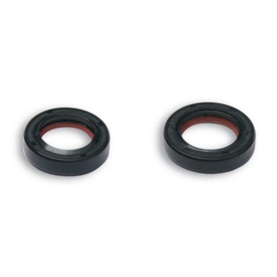 Malossi keerringset krukas sco piaggio 2t malossi 6615256