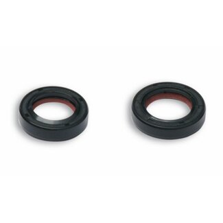 Malossi keerringset krukas sco piaggio 2t malossi 6615256