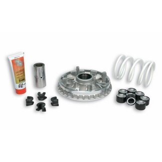 Malossi variokit bev350/bev400/mp3-350 e4 malossi 5119126