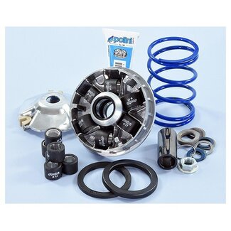 variokit + veer (voor evo krukas) d16 hi-speed evolution sco piaggio 2t polini 241.751
