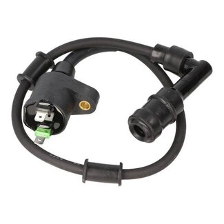 bobine euro-4 25/45km zip 4t piag orig cm271704