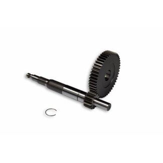 overbrengingset primair HTQ-Z dna/piag/primav/sca/sprin/sr/typ 14/48t malossi 6711602