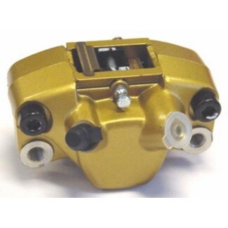 remklauw nrg/run goud achter piag orig 56194r