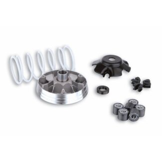 Malossi variokit nrg/sco pia nt/zip/zip sp 19x15.5mm malossi 519019