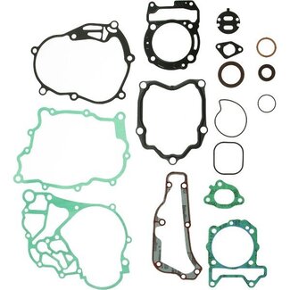 pakkingset compleet motorblok euo-4/5 bev300/gts300hpe/gtv300/mp3-300 piag orig 1r000373