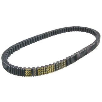 Malossi v-snaar 2010-2020 bev300/geo/spc300 malossi 6116069