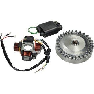 Vespa si, ciao, citta ontsteking+vliegwiel electrisch set 805gr ciao/citta/si BGM bgm666ci2s