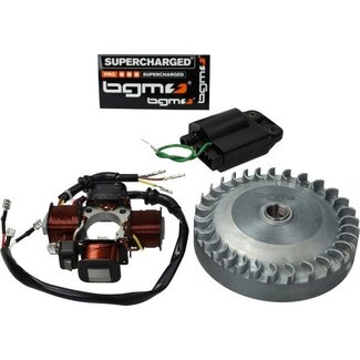 Vespa si, ciao, citta ontsteking+vliegwiel electrisch set 1315 gr. ciao/citta/si BGM bgm666ci2t