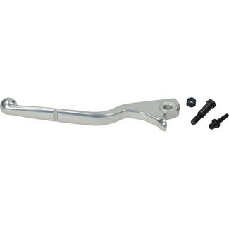 remgreep euro-5 gts125/gts150/gts300cc chroom links piag orig 1c007043