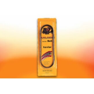 Malossi v-snaar kevlar dna/lib/sportcity/sr motard/typ malossi 619535