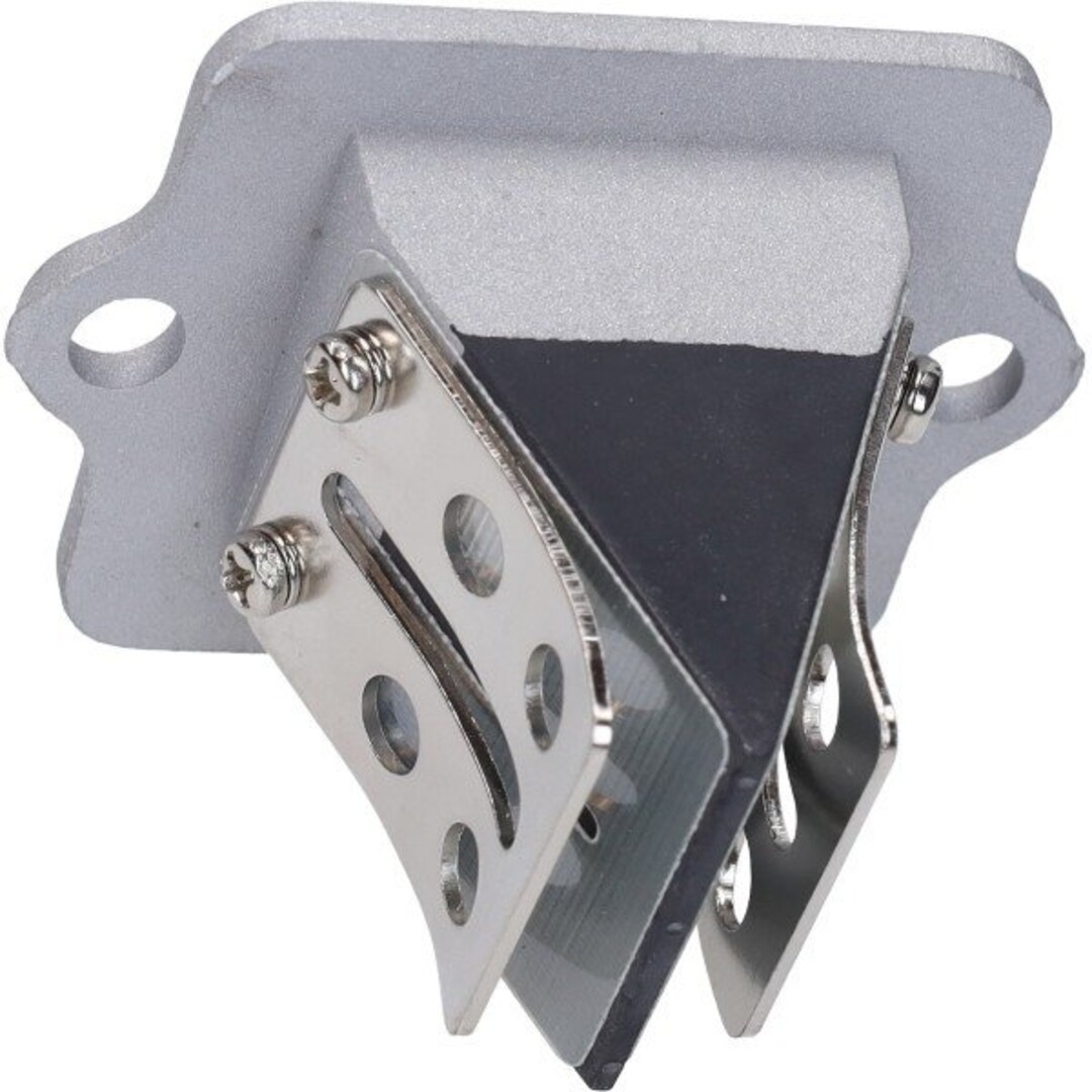 membraan sco piaggio 2t BGM bgm2510