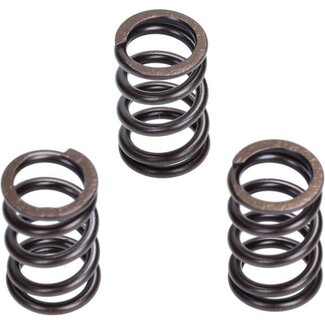 Malossi klep veer set euro-5 libIGET/prima4t3v/zip 4t3v malossi 2919806