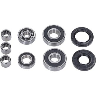 lager+keerringset transmissie M02, M12 ski125/ski150cc/typ125 42788 9-delig