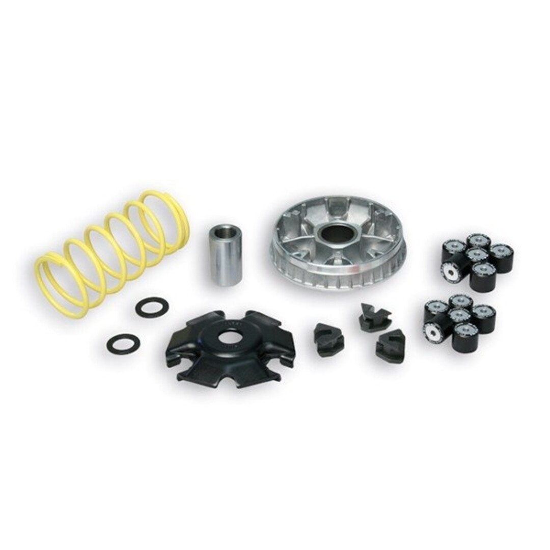 Malossi variokit django/fid3/gts/symph st/tweet 125cc malossi 5118659