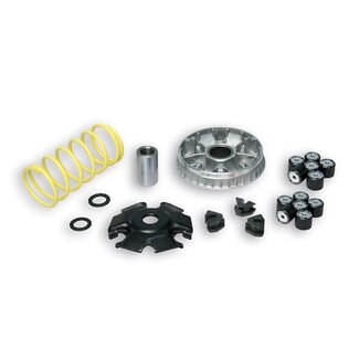 Malossi variokit django/fid3/gts/symph st/tweet 125cc malossi 5118659