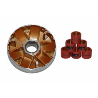 variokit agi/china4t/sco gy6 ncy