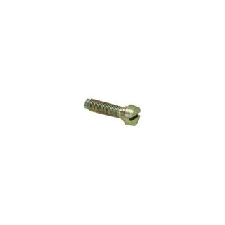 Bing stelschroef stationair 19mm bing 150-078-06