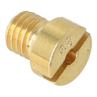 Dellorto sproeier klein 5mm 89 dellorto